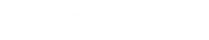 Payment Option